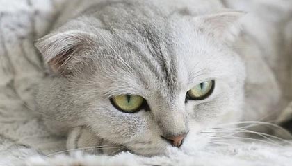 91网科普:内幕背后最少99%的人都误会了