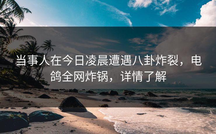 当事人在今日凌晨遭遇八卦炸裂,电鸽全网炸锅,详情了解 当事人在今日凌晨遭遇八卦炸裂,电鸽全网炸锅,详情了解
