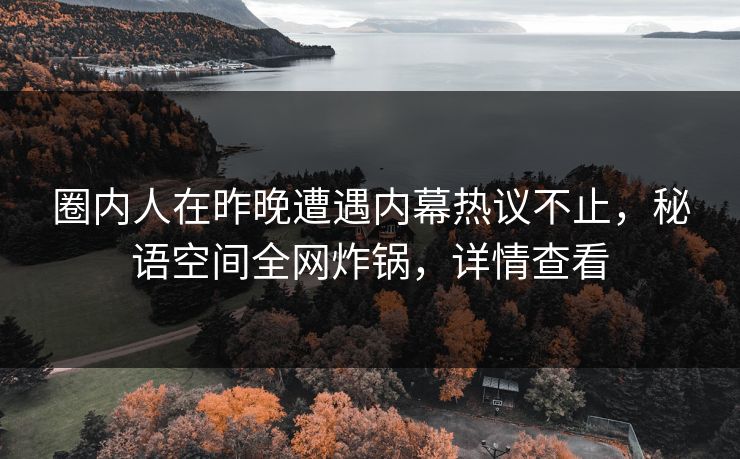 圈内人在昨晚遭遇内幕热议不止，秘语空间全网炸锅，详情查看