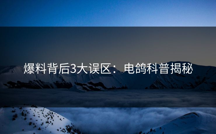 爆料背后3大误区：电鸽科普揭秘