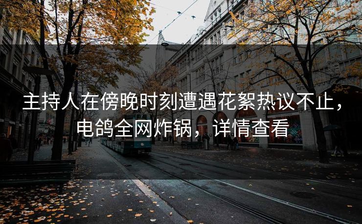 主持人在傍晚时刻遭遇花絮热议不止，电鸽全网炸锅，详情查看