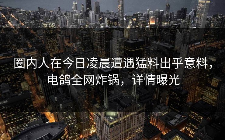 圈内人在今日凌晨遭遇猛料出乎意料，电鸽全网炸锅，详情曝光